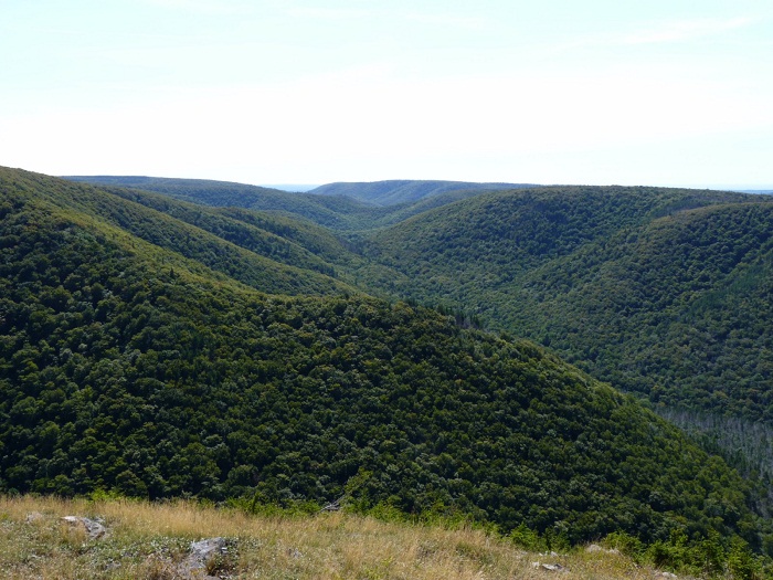 Cape Mabou Highland Hiking Trails 4.jpg